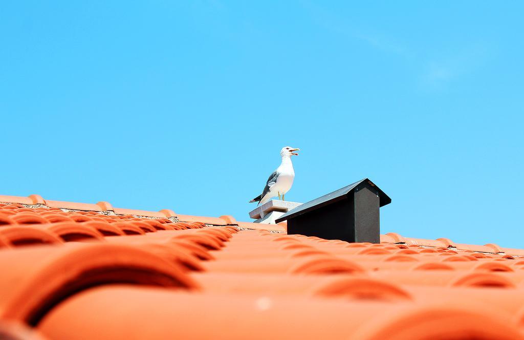 Apartmani Adrijan Krk Krk Town Oda fotoğraf