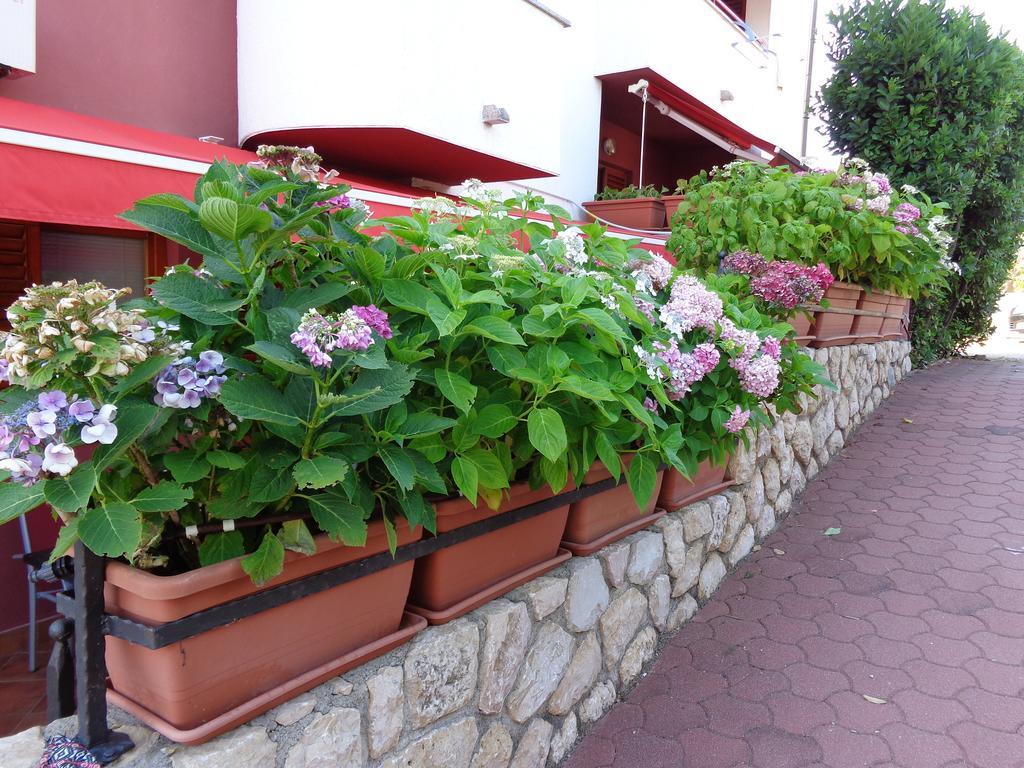 Apartmani Adrijan Krk Krk Town Dış mekan fotoğraf